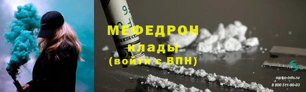 индика Медвежьегорск