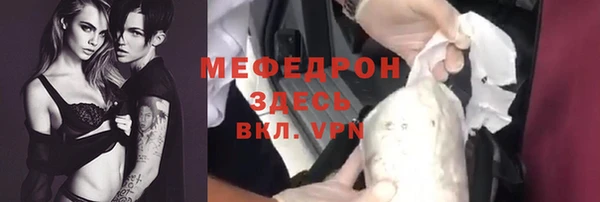 индика Медвежьегорск