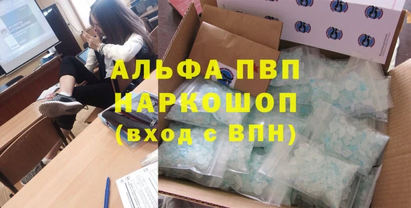 индика Мегион