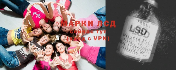 индика Медвежьегорск