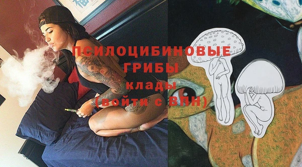 индика Мегион