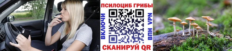 Псилоцибиновые грибы мухоморы  Рубцовск 